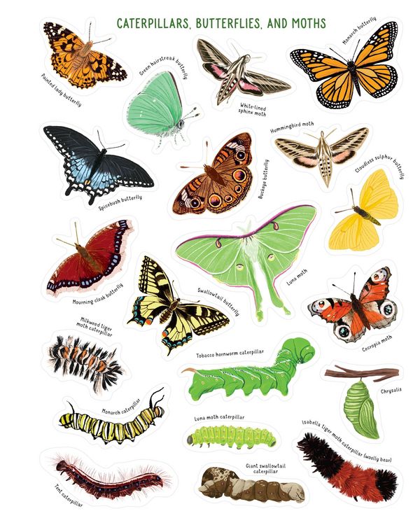 Produktbild: Backpack Explorer Stickers: Bug Adventure