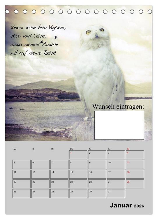 Produktbild: Wunsch- und Zauberkalender (Tischkalender 2026 DIN A5 hoch), CALVENDO Monatskalender