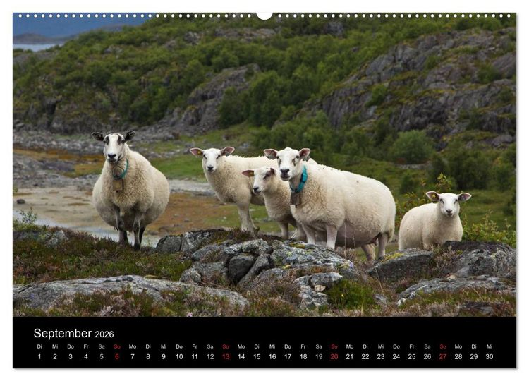 Produktbild: Norwegen - Faszination des Nordens (hochwertiger Premium Wandkalender 2026 DIN A2 quer), Kunstdruck in Hochglanz