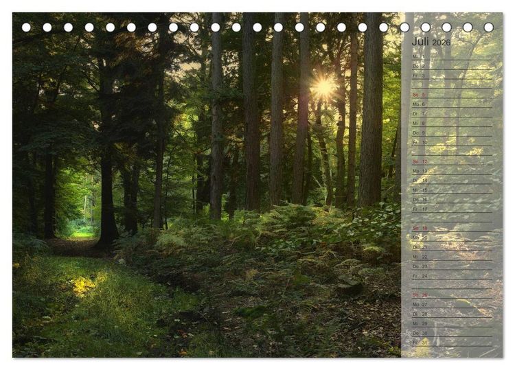 Produktbild: Unser Wald - Magische Sichten in norddeutsche W&auml;lder / Geburtstagskalender (Tischkalender 2026 DIN A5 quer), CALVENDO Monatskalender