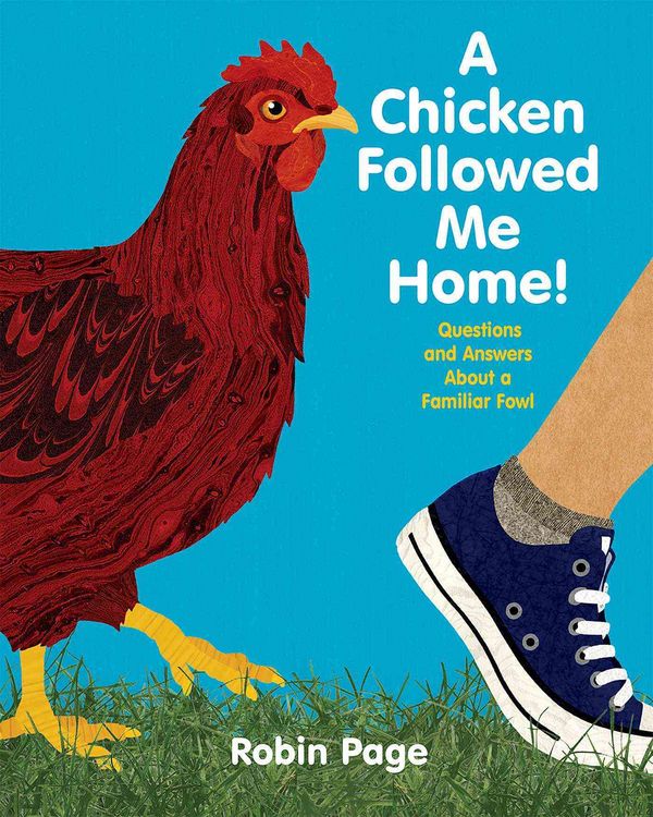 Produktbild: A Chicken Followed Me Home!: Questions and Answers about a Familiar Fowl