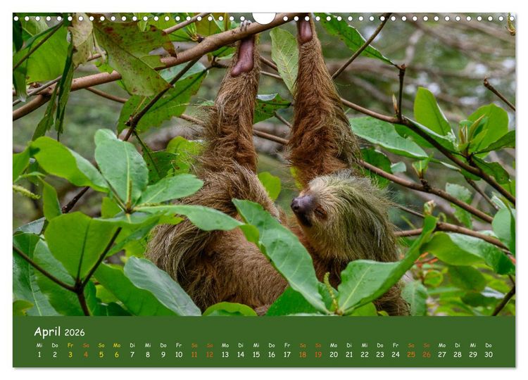 Produktbild: Costa Rica - Naturparadies zwischen Karibik und Pazifik (Wandkalender 2026 DIN A3 quer), CALVENDO Monatskalender