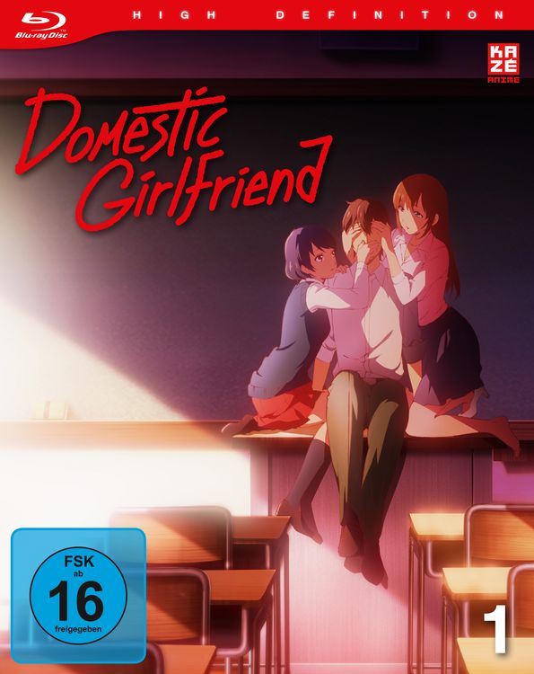 Produktbild: Domestic Girlfriend - Vol. 1