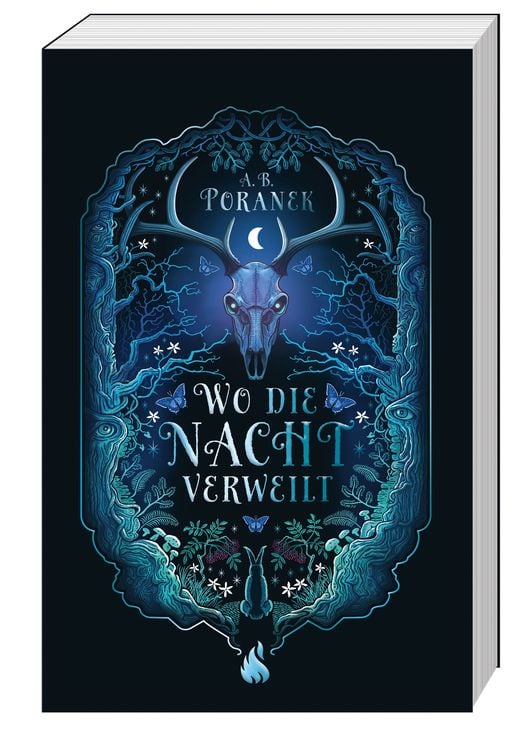 Produktbild: Wo die Nacht verweilt