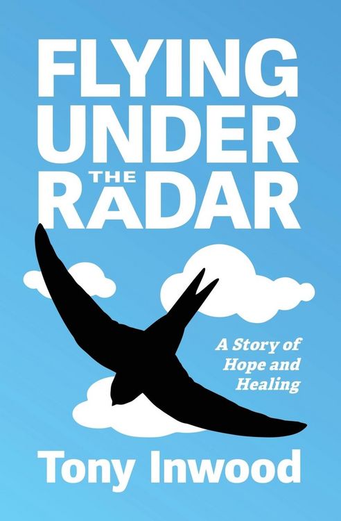 Produktbild: Flying under the Radar