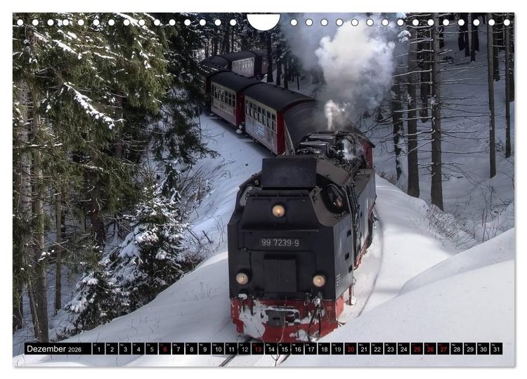 Produktbild: Schmalspurbahnen in Sachsen Anhalt (Wandkalender 2026 DIN A4 quer), CALVENDO Monatskalender