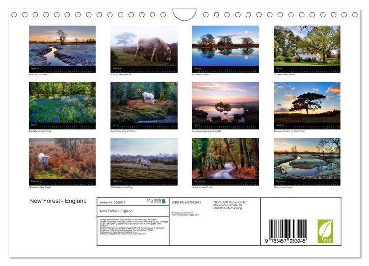 Produktbild: New Forest - England (Wandkalender 2026 DIN A4 quer), CALVENDO Monatskalender