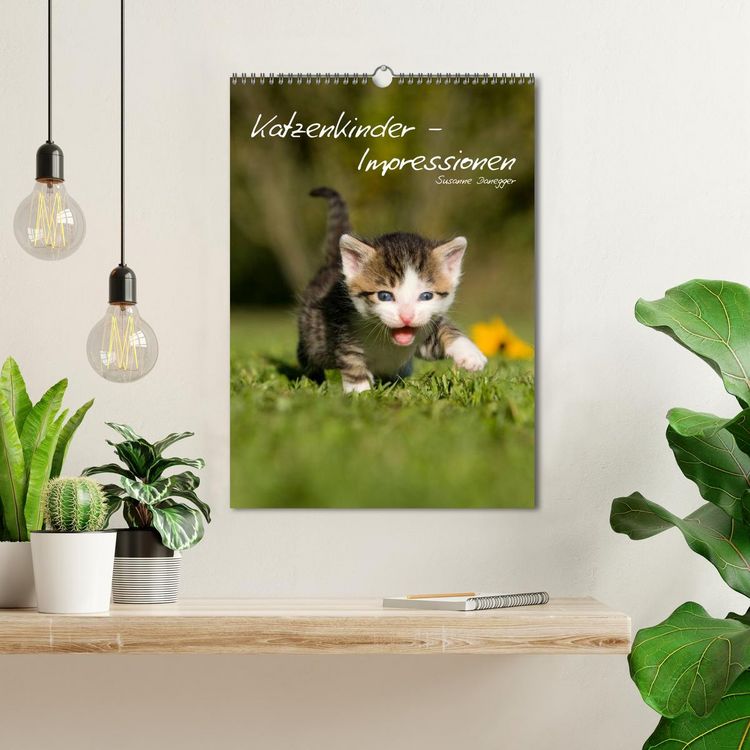 Produktbild: Katzenkinder - Impressionen (Wandkalender 2026 DIN A3 hoch), CALVENDO Monatskalender