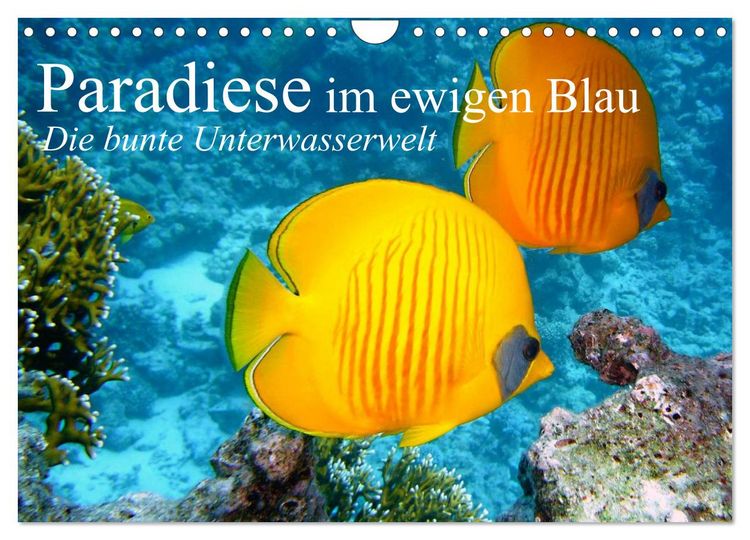 Produktbild: Paradiese im ewigen Blau. Die bunte Unterwasserwelt (Wandkalender 2026 DIN A4 quer), CALVENDO Monatskalender