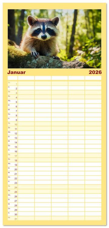 Produktbild: Familienplaner 2026 - Frech, flauschig, fantastisch - Der Waschb&auml;ren-Kalender mit 5 Spalten (Wandkalender, 21 x 45 cm) CALVENDO
