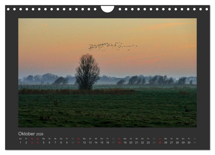Produktbild: Impressionen aus St. Peter-Ording (Wandkalender 2026 DIN A4 quer), CALVENDO Monatskalender