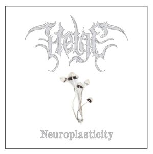 Produktbild: Neuroplasticity