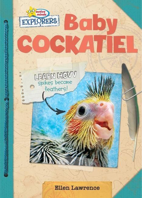 Produktbild: Baby Cockatiel