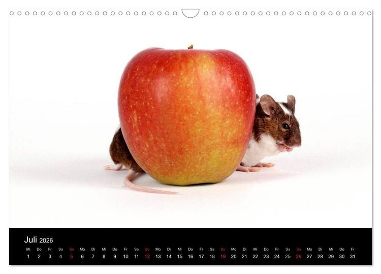 Produktbild: S&uuml;&szlig;e M&auml;use und Coole Ratten (Wandkalender 2026 DIN A3 quer), CALVENDO Monatskalender