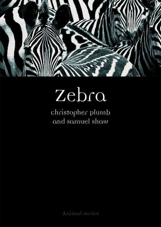 Produktbild: Zebra