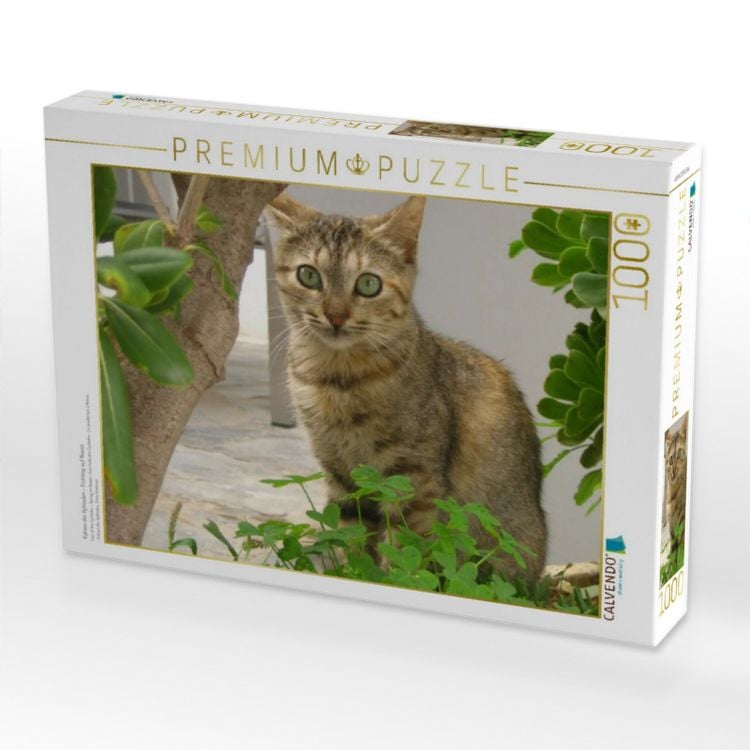Produktbild: CALVENDO Puzzle Katzen der Kykladen - Fr&uuml;hling auf Naxos | 1000 Teile Lege-Gr&ouml;&szlig;e 64x48cm Foto-Puzzle f&uuml;r gl&uuml;ckliche Stunden