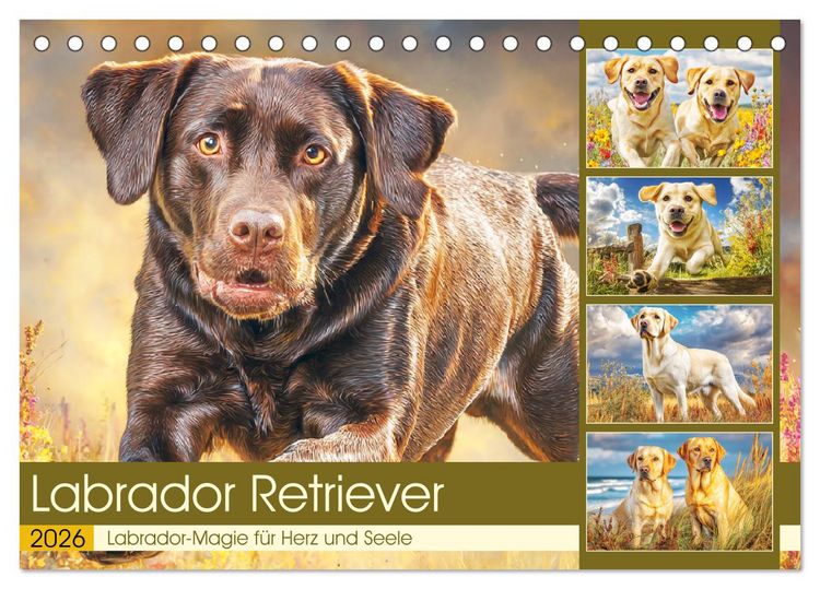 Produktbild: Labrador Retriever. Labrador-Magie f&uuml;r Herz und Seele (Tischkalender 2026 DIN A5 quer), CALVENDO Monatskalender