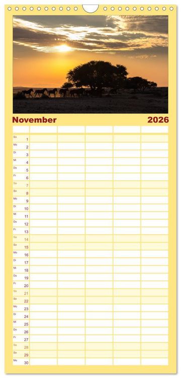 Produktbild: Familienplaner 2026 - Wildes Namibia mit 5 Spalten (Wandkalender, 21 x 45 cm) CALVENDO