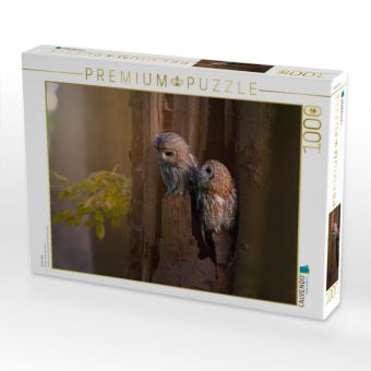 Produktbild: CALVENDO Puzzle Eulenliebe | 1000 Teile Lege-Gr&ouml;&szlig;e 64x48cm Foto-Puzzle f&uuml;r gl&uuml;ckliche Stunden
