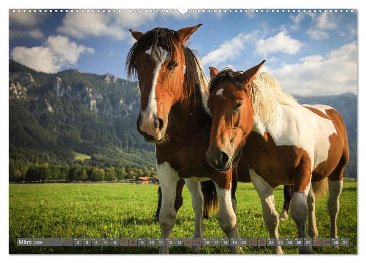 Produktbild: Ostallg&auml;u - Zwischen Aggenstein und Forggensee (Wandkalender 2026 DIN A2 quer), CALVENDO Monatskalender