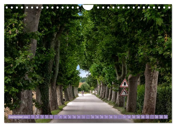 Produktbild: Ein Sommer in der Provence: Luberon und Vaucluse (Wandkalender 2026 DIN A4 quer), CALVENDO Monatskalender