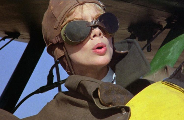 Produktbild: The Aviator - Absturz in der Wildnis