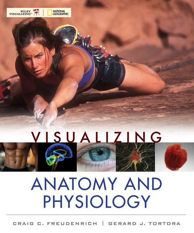 Produktbild: Visualizing Anatomy and Physiology