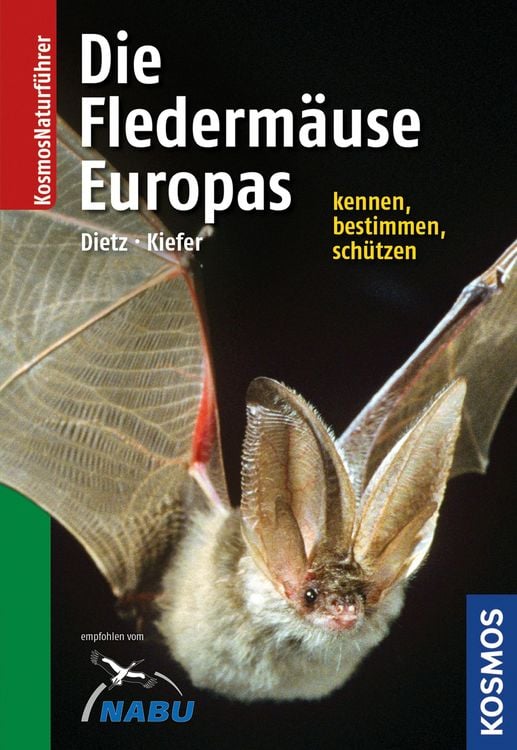 Produktbild: Die Flederm&auml;use Europas kennen, bestimmen, sch&uuml;tzen