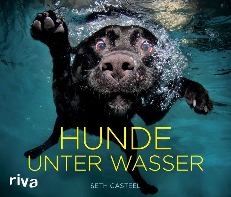 Produktbild: Hunde unter Wasser