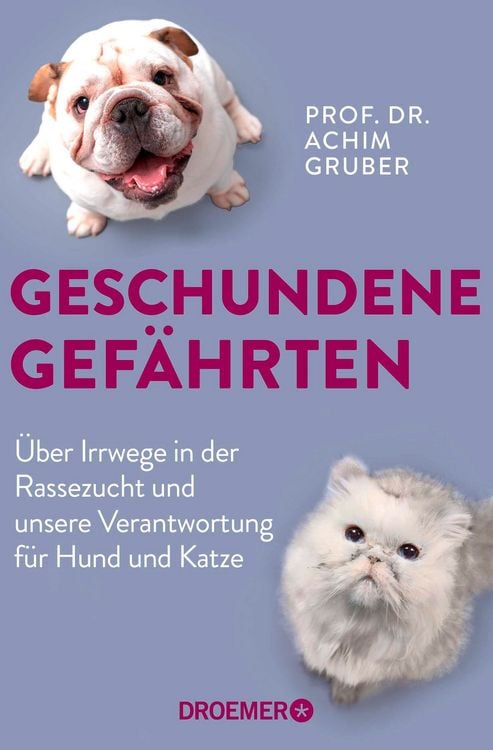 Produktbild: Geschundene Gef&auml;hrten