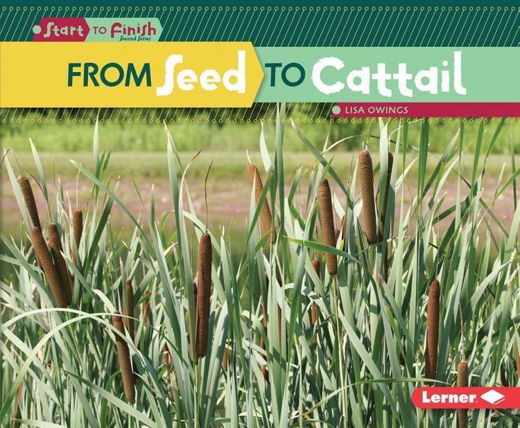 Produktbild: From Seed to Cattail