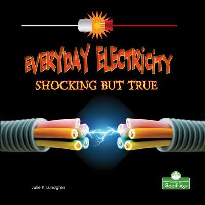 Produktbild: Everyday Electricity, Shocking But True