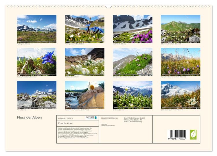 Produktbild: Flora der Alpen (hochwertiger Premium Wandkalender 2026 DIN A2 quer), Kunstdruck in Hochglanz