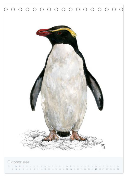 Produktbild: Pinguine - 13 Illustrationen (Tischkalender 2026 DIN A5 hoch), CALVENDO Monatskalender