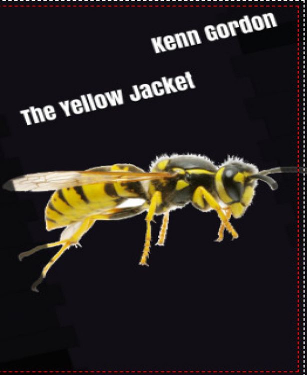 Produktbild: The Yellow Jacket