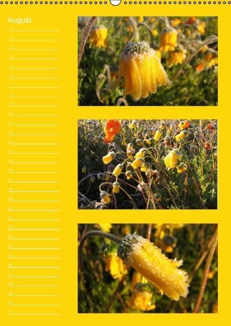 Produktbild: Zauberwelt der Blumen - Eiskristalle & Wasserperlen / Geburtstagskalender (Wandkalender immerw&auml;hrend DIN A2 hoch)