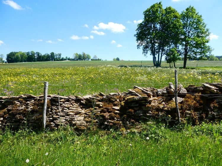 Produktbild: Jura