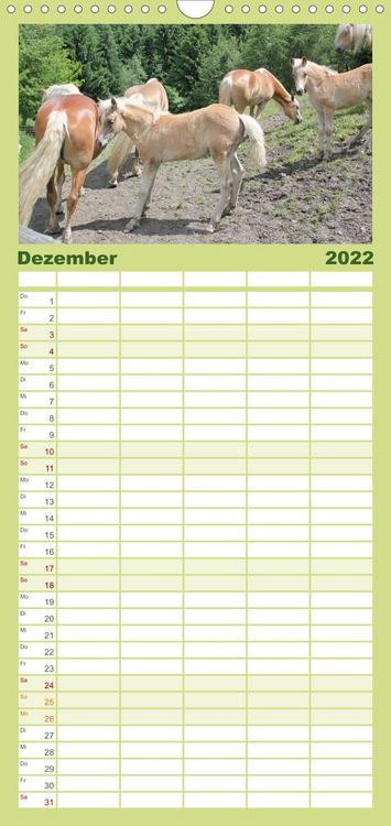 Produktbild: Familienplaner Alpenpferde (Wandkalender 2022 , 21 cm x 45 cm, hoch)