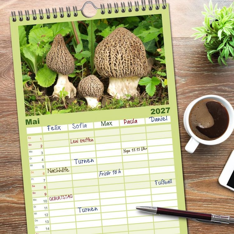 Produktbild: Familienplaner 2027 - Pilzkalender mit 5 Spalten (Wandkalender, 21 x 45 cm) CALVENDO