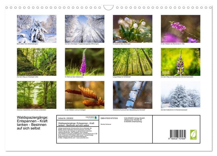 Produktbild: Waldspazierg&auml;nge: Entspannen - Kraft tanken - Besinnen auf sich selbst (Wandkalender 2027 DIN A3 quer), CALVENDO Monatskalender