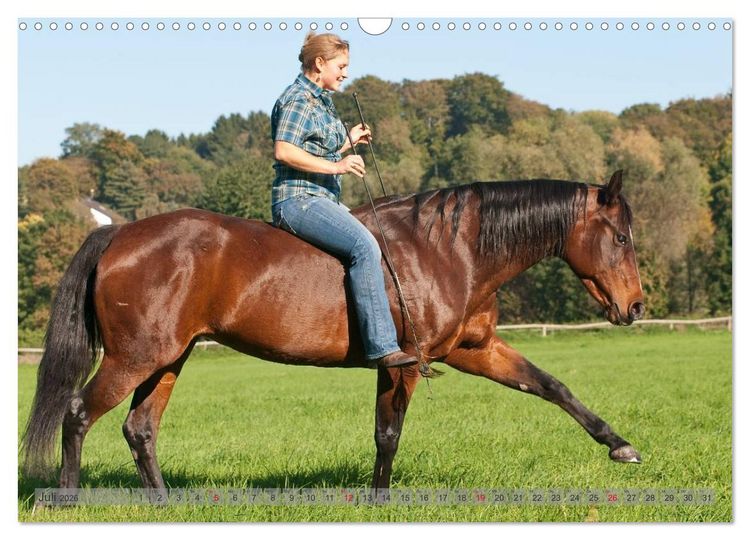 Produktbild: Natural Horsemanship - Partnerschaft mit Pferden (Wandkalender 2026 DIN A3 quer), CALVENDO Monatskalender