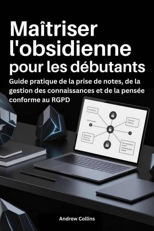 Produktbild: Ma&icirc;triser l'obsidienne pour les d&eacute;butants