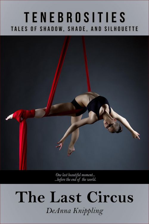 Produktbild: The Last Circus