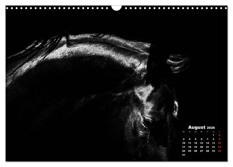 Produktbild: Pferde zwischen Licht und Schatten (Wandkalender 2026 DIN A3 quer), CALVENDO Monatskalender