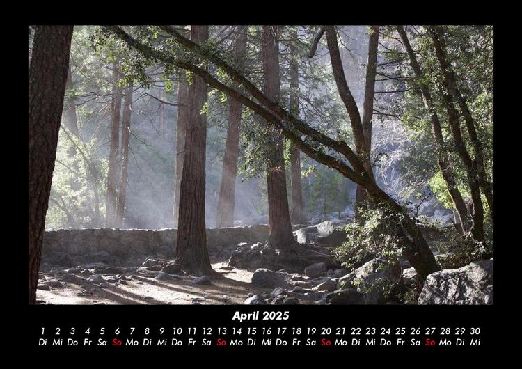 Produktbild: Waldzauber 2025 Fotokalender DIN A3