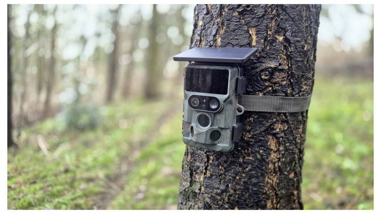 Produktbild: Braun Phototechnik Cam Black1321 Wildkamera WLAN Camouflage