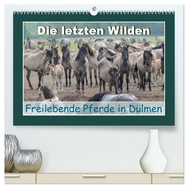 Produktbild: Die letzten Wilden - freilebende Pferde in D&uuml;lmen (hochwertiger Premium Wandkalender 2027 DIN A2 quer), Kunstdruck in Hochglanz
