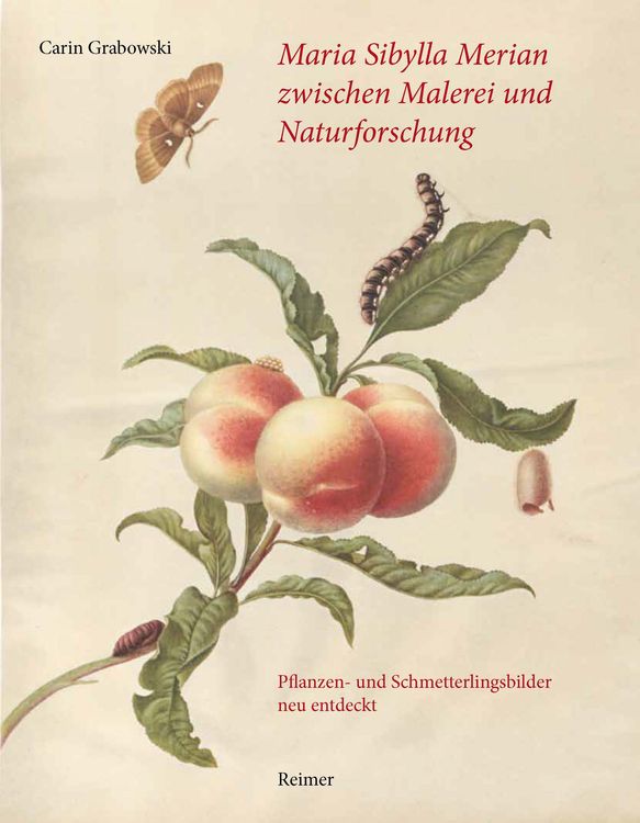 Produktbild: Maria Sibylla Merian zwischen Malerei und Naturforschung