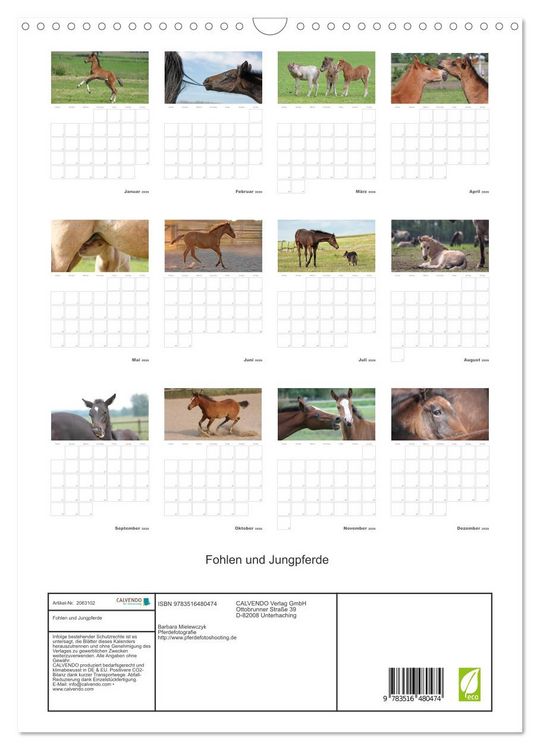 Produktbild: Fohlen und Jungpferde (Wandkalender 2026 DIN A3 hoch), CALVENDO Monatskalender
