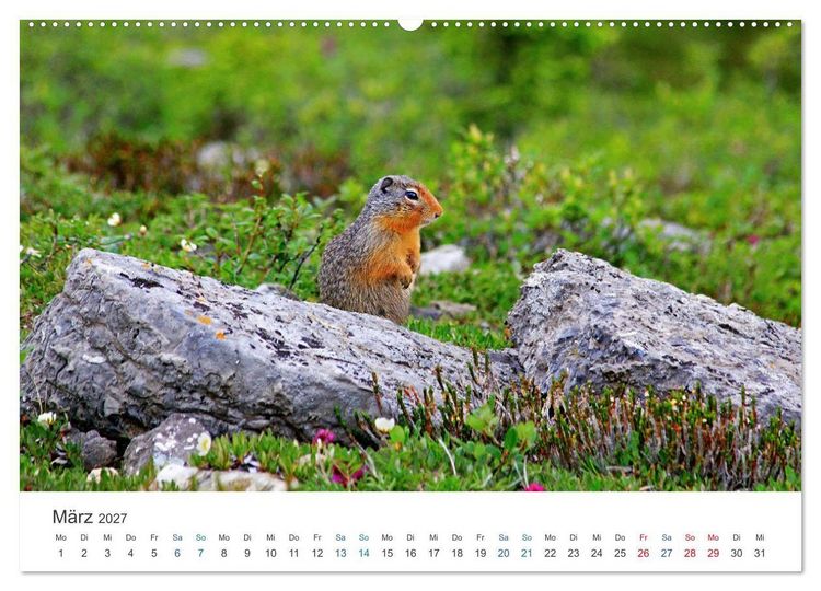 Produktbild: Icefields Parkway in Kanada (Wandkalender 2027 DIN A2 quer), CALVENDO Monatskalender